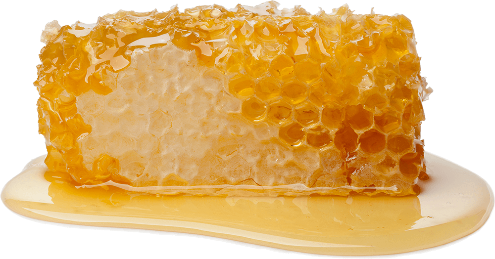 Miel en rayon - Clos des Abeilles